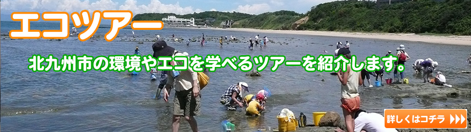 エコツアー