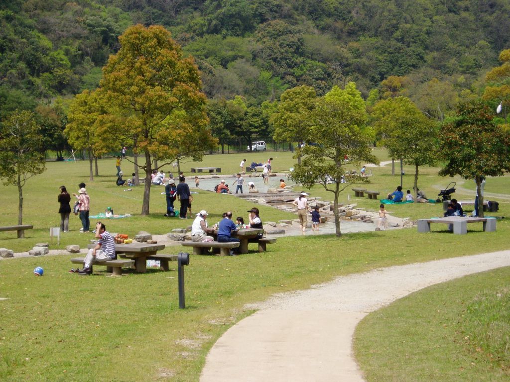 山田 緑地