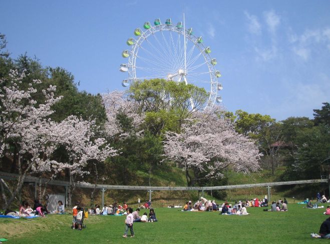 到津の森公園