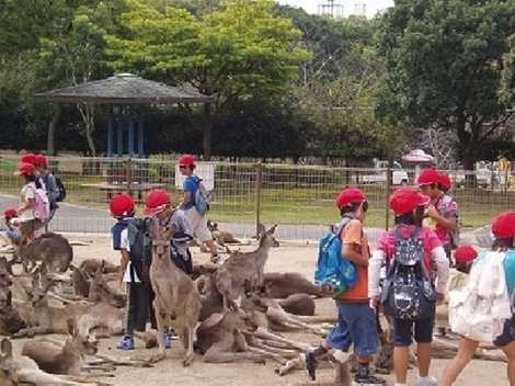 動物ふれあい教室